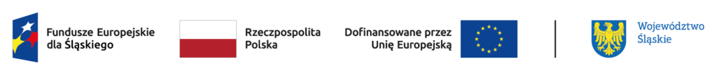 3. FE SL kolor poziom br